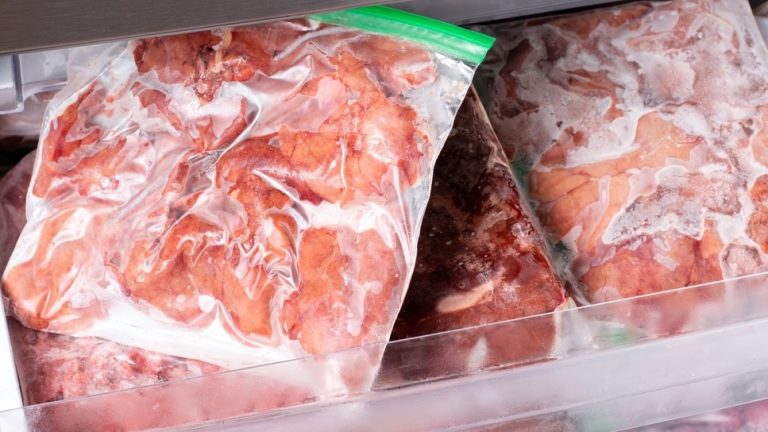 Penyimpanan Makanan Beku yang Efektif dan Tepat