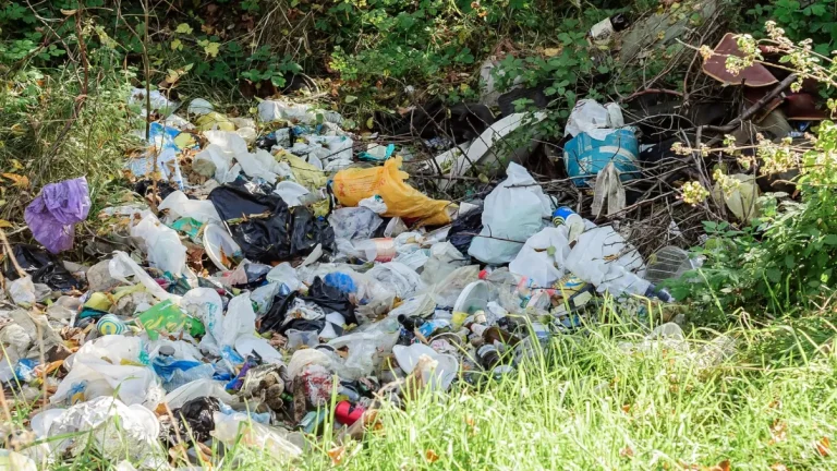 Bahaya Sampah Terhadap Tanah Subur