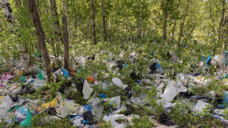 Hutan yang Rusak, Dampaknya Bisa Menghantui Kita Semua Loh!