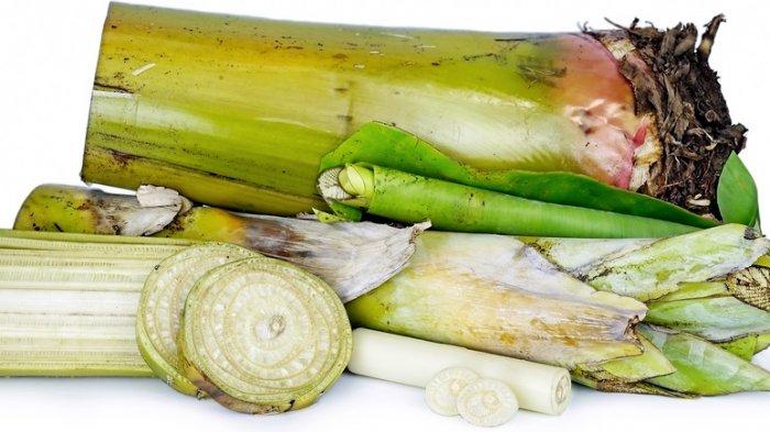 Manfaat Batang Pisang