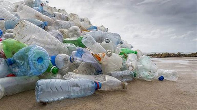 Dampak Buruk Plastik Sekali Pakai, Ternyata Bahaya!