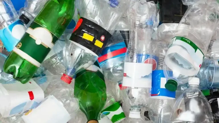 Bisnis Kreatif dari Plastik, Bisa Cuan Loh!