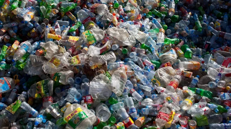 Dampak Botol Plastik Bagi Lingkungan, Bahaya Loh!