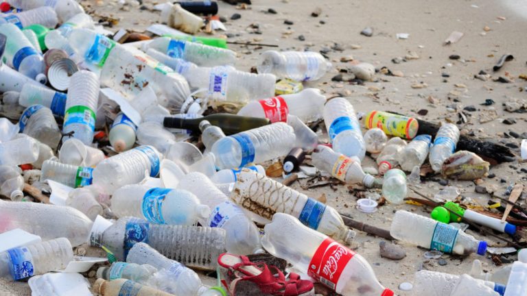 Bahaya Plastik yang Terurai Menjadi Mikroplastik, Wajib Tahu!