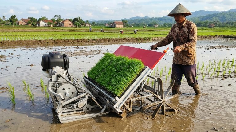 Proses Penanaman Padi Menggunakan Alat Modern