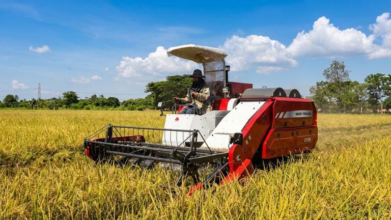 proses pemisahan gabah dari batang padi